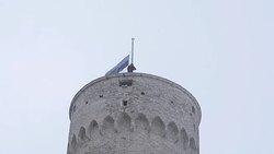 CLEAN : Estonia celebrates 100 years of independence News Clip