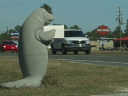Manatee Sign, (Trichechus manatus) mailbox, medium close up, Florida, North Atlantic Ocean  Stock Footage