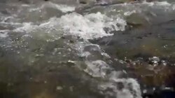Stream of flowing River Stock Footage