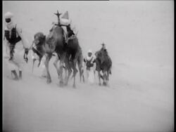 Fox Movietone Instructional Video