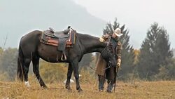 SLO MO DS Cowboy stroking the horse in meadow Stock Footage