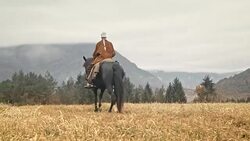 DS Cowgirl riding her horse across mountain meadow Stock Footage