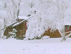 WS Shot of Log cabin in snow storm / Tweed, Ontario, Canada Stock Footage