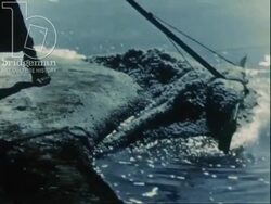 Gathering salt from evaporation ponds, Carnac, Brittany, France 1950s Stock Footage