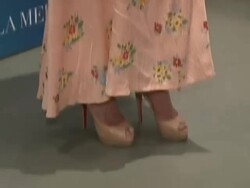 La Mer and Oceana Present World Ocean Day 2008 Stock Footage