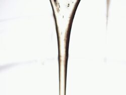 Brown syrup pouring Stock Footage