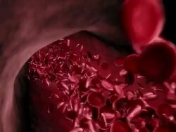 Red Blood Cells in Artery Stock Footage