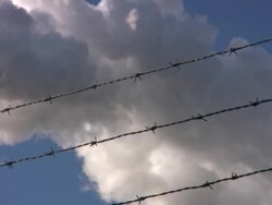 Barbed Wire Sky \focus on fence v1\ HD Stock Footage