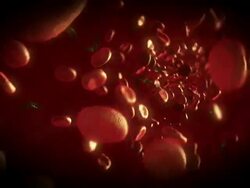 Extreme Close Up push-in - Toxoplasma gondii parasites infect red blood cells in a computer-generated animation. Stock Footage