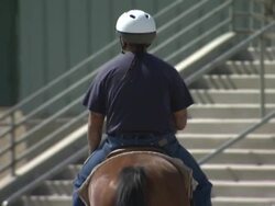 Inmate-trained mustangs auctioned in Reno News Clip