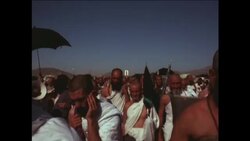 SP 110740 DANDELION PRODUCTION [ ARAFAT ROAD 5 ] News Clip