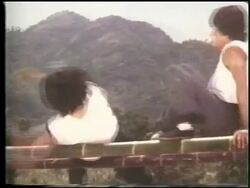 Kung Fu parallel beam exercises Stock Footage