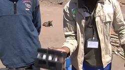 CLEAN : African farmers encouraged to use fertlizers to boost crops News Clip