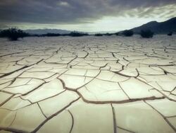 MS POV View of Dry Cracked Earth / Death Valley, California, United States Stock Footage