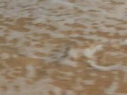 Footprint made in sand then washed away by wave Stock Footage