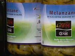 CLEAN: Capitalising on confiscated mafia assets News Clip