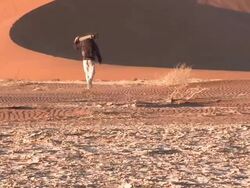Sand dune, man with tripod walks towards dune, Sossusvlei, Namib-Naukluft, Namibia Stock Footage