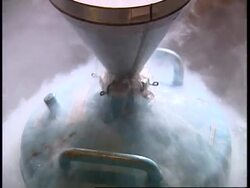 UK: CATTLE BREEDER CREATES BULL CALF FREE FROM MODERN DISEASES News Clip