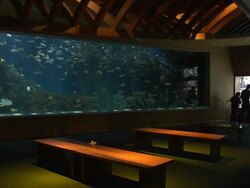 Oceanografic Valencia Stock Footage