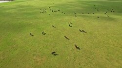 Aerial South Dakota Countryside Stock Footage