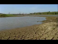 Dry, cracked earth beside water, Nagarahole, India Stock Footage