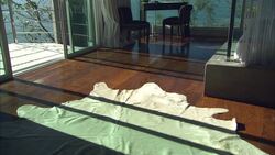 Sunlight casts shadows across a hardwood floor covered with a leather rug and sparse furniture. Stock Footage