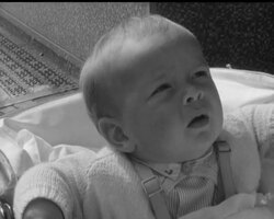 DENTAL HEALTH - ON TAP? News Clip