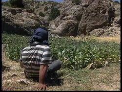 CENTRAL ASIA: TAJIKISTAN: DRUG TRAFFICKING News Clip