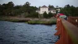 Young boys lean over dock railing, pull empty crab-trap out of river and toss it back in Stock Footage