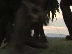 Medium hand-held - Natives in grass skirts perform a welcome dance in Papua New Guinea. / Papua New Guinea Stock Footage