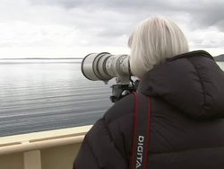 Photographer using a Telephoto Lens News Clip