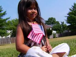 Selena's Flags HH Stock Footage