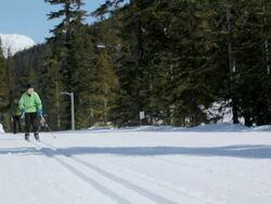 MS Father skiing with son on icy landscape / Whistler, BC, Canada   Stock Footage