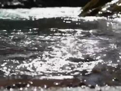 HD Glittering water surface of a natural river SM Stock Footage