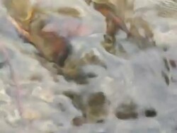 Spring water Stock Footage