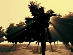 Four Seasons- Autumn Stock Footage