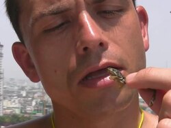 Delicious Stock Footage