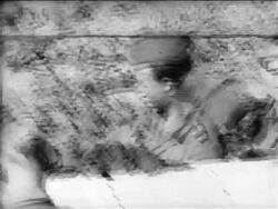 B/W 1961 East German soldiers putting mortar on wall during construction of Berlin Wall / Cold War Stock Footage