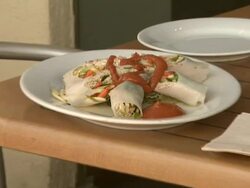 Celebrity Save The Seal Day: Press Conference Hosted by Celebrities Against The Seal Hunt Stock Footage