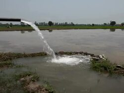 Water falling from tubewell in the farms  Stock Footage