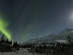 Northern Lights Alaska Stock Footage