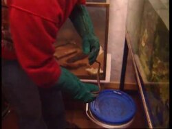 SOUTH AFRICA: POLICE CRACK REPTILE SMUGGLING NETWORK News Clip