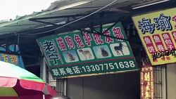 VOICED : Perros en el menu del festival chino de carne canina News Clip