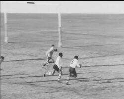 SPORTABOUT News Clip