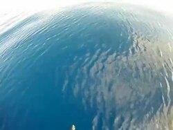MS POV Spinner dolphins bow riding / Caribbean, Dominica Stock Footage