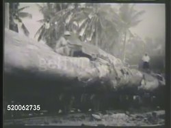 1937: PHILIPPINES ISLANDS: RESOURCES: ** XWS Stacks of cut hardwood. W Train pulling load of hardwood trees. VS Filipino workers bundling & drying hemp fibers. Instructional Video