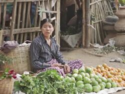 WS Female market vendor sitting in front of fruits and vegetables at the market / Bagan, Mandalay Division, Myanmar Stock Footage
