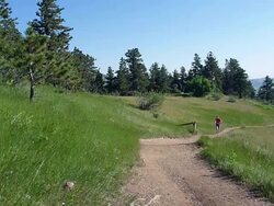 HD video man trail runs Mount Falcon Colorado Rocky mountains Stock Footage