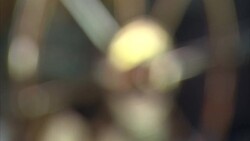 Bridge of docked Queen Mary News Clip