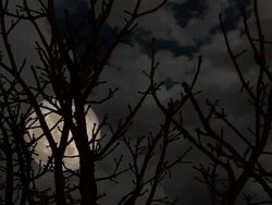 HD Super Moon Night Stock Footage